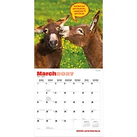 Jackasses 2027 Wall Calendar