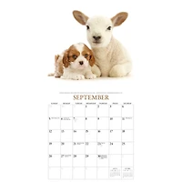 Puppies and Friends 2027 Wall Calendar