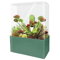 Fascinating Flytrap Seed Square