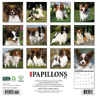 Just Papillons 2026 Wall Calendar