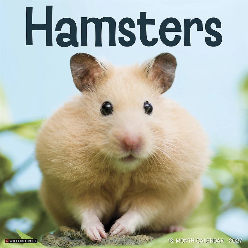 Hamsters 2027 Wall Calendar