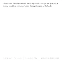 Amazing Trivia 365 2026 Box Calendar