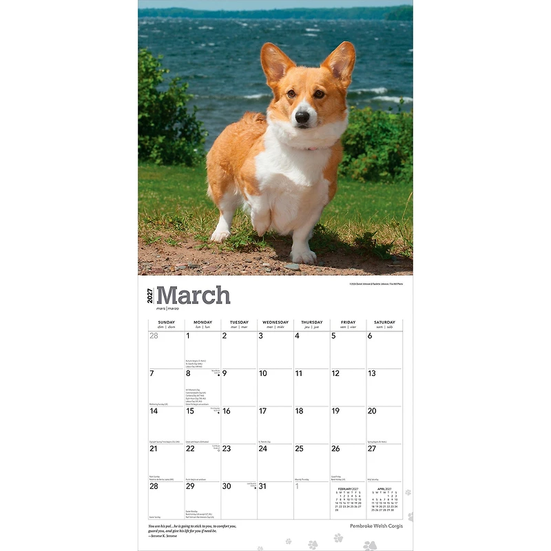 Pembroke Welsh Corgis 2027 Wall Calendar - Online Only