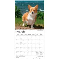 Pembroke Welsh Corgis 2027 Wall Calendar - Online Only