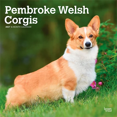 Pembroke Welsh Corgis 2027 Wall Calendar - Online Only