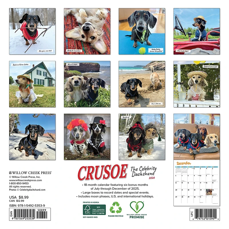 Crusoe Dachshund 2026 Mini Calendar