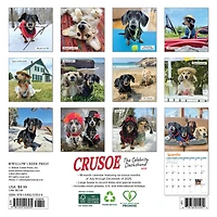 Crusoe Dachshund 2026 Mini Calendar