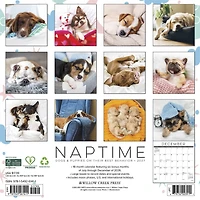Naptime: Dogs & Puppies on their Best Behavior 2027 Wall Calendar