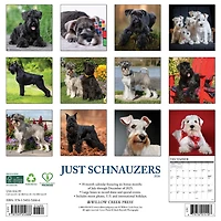 Just Schnauzers 2026 Wall Calendar - Online Only