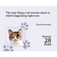 Cats 2027 Small Box Calendar