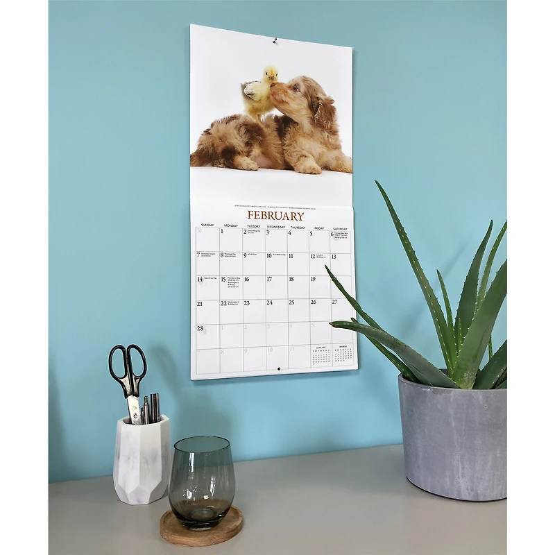 Puppies and Friends 2027 Wall Calendar