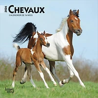 Chevaux 2026 Mini Calendar (French)