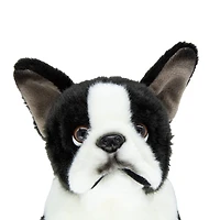 French Bulldog 10in Plush