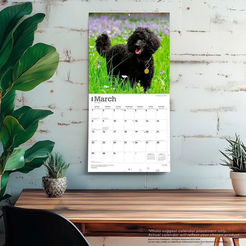 Poodles 2026 Wall Calendar