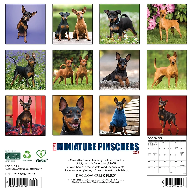 Just Miniature Pinschers 2026 Wall Calendar - Online Only