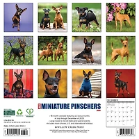 Just Miniature Pinschers 2026 Wall Calendar - Online Only
