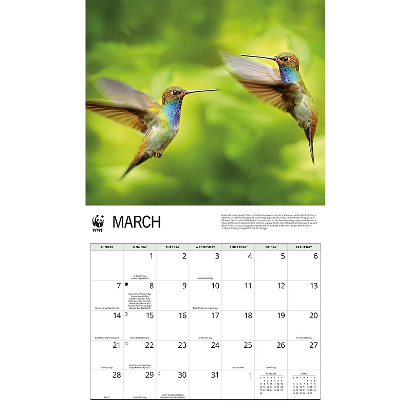 World Wildlife Fund Hummingbirds 2027 Wall Calendar