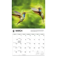 World Wildlife Fund Hummingbirds 2027 Wall Calendar
