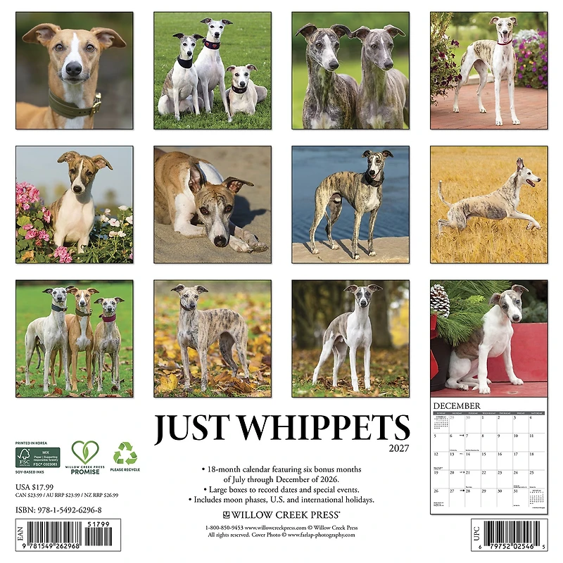 Whippets 2027 Wall Calendar