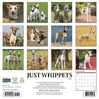 Whippets 2027 Wall Calendar