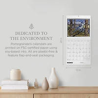 Molly Hashimoto Birds 2026 Wall Calendar