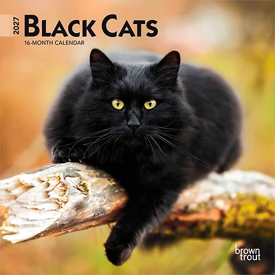 Black Cats 2027 Mini Calendar