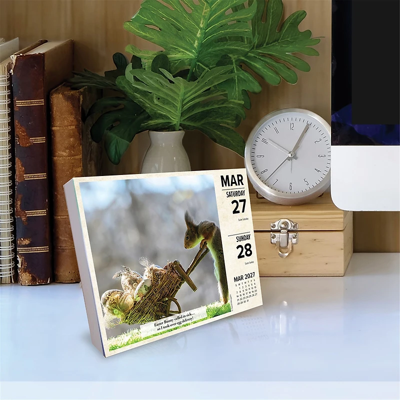 Gettin' Squirrelly 2027 Box Calendar