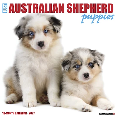 Australian Shepherd Puppies 2027 Wall Calendar
