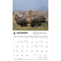 World Wildlife Fund Eagles 2027 Wall Calendar