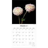 In the Garden 2027 Wall Calendar