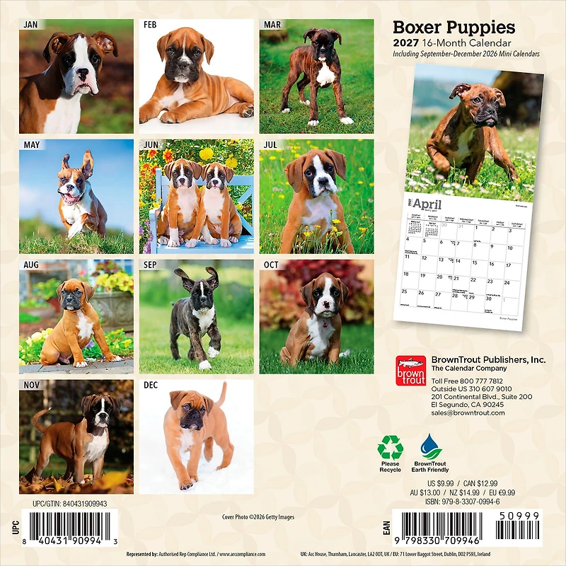 Boxer Puppies 2027 Mini Calendar