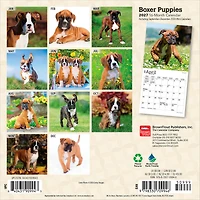 Boxer Puppies 2027 Mini Calendar