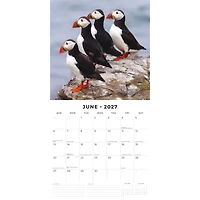 Puffins 2027 Wall Calendar