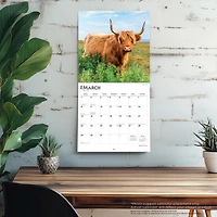 Highland Cows 2026 Wall Calendar
