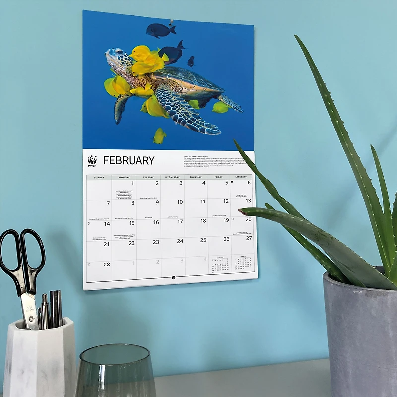 World Wildlife Fund Sea Turtles 2027 Wall Calendar