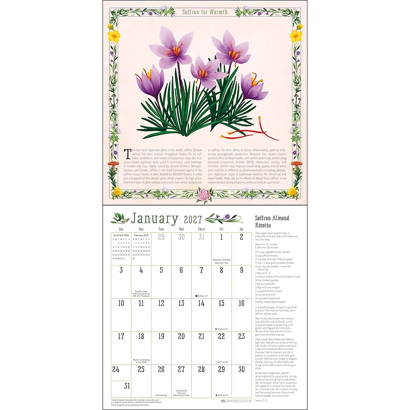 Kitchen Witch 2027 Wall Calendar - Online Only