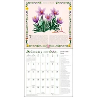 Kitchen Witch 2027 Wall Calendar - Online Only