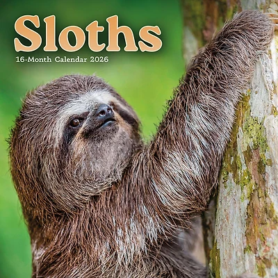 Sloths 2026 Mini Calendar