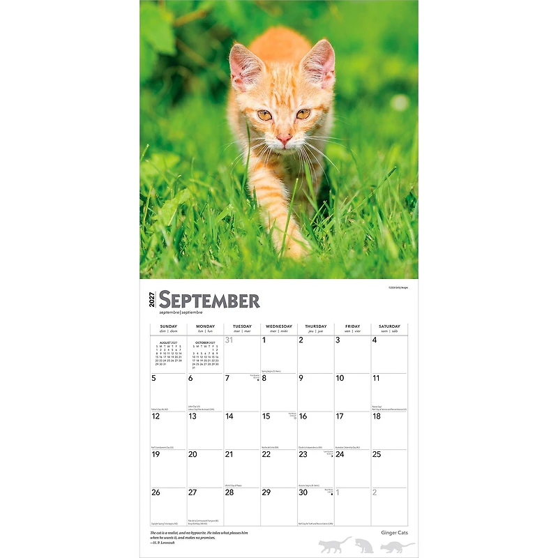 Ginger Cats 2027 Wall Calendar