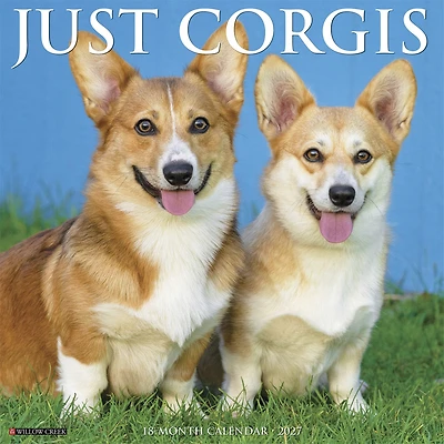 Corgis 2027 Wall Calendar