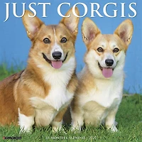 Corgis 2027 Wall Calendar