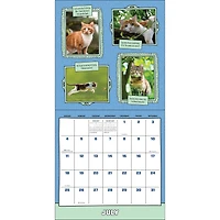 Cats Are Cheaper Than Therapy 2027 Wall Calendar