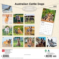 Australian Cattle Dogs 2027 Wall Calendar - Online Only