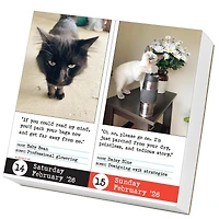 Bad Cat 2026 Box Calendar