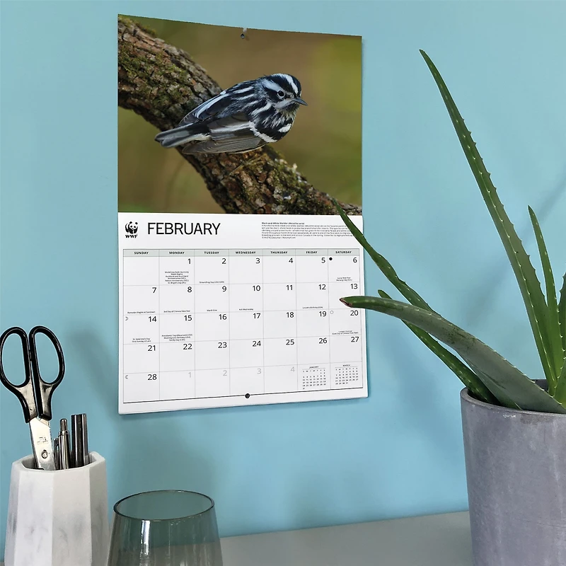 World Wildlife Fund Songbirds 2027 Wall Calendar