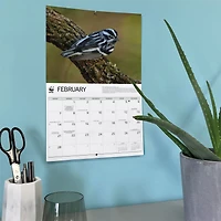 World Wildlife Fund Songbirds 2027 Wall Calendar