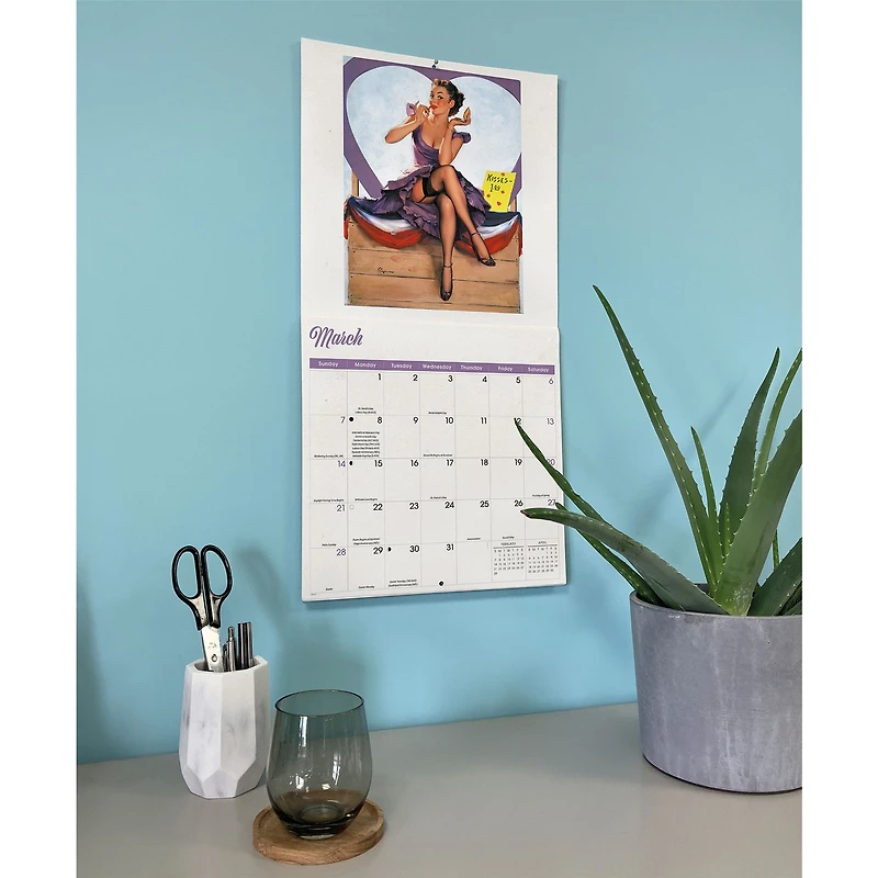 Pin-Up Girls 2027 Wall Calendar