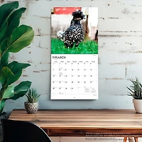Chickens 2027 Wall Calendar
