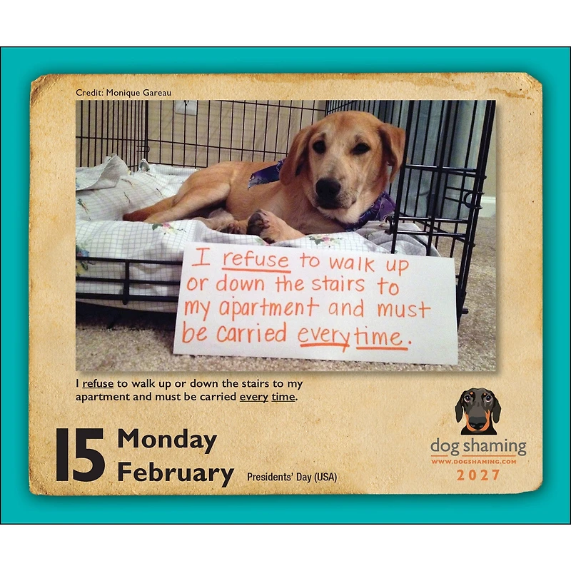 Dog Shaming 2027 Box Calendar