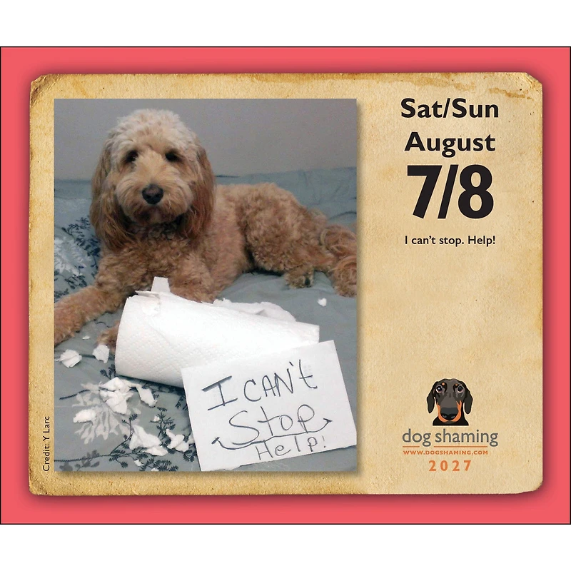 Dog Shaming 2027 Box Calendar